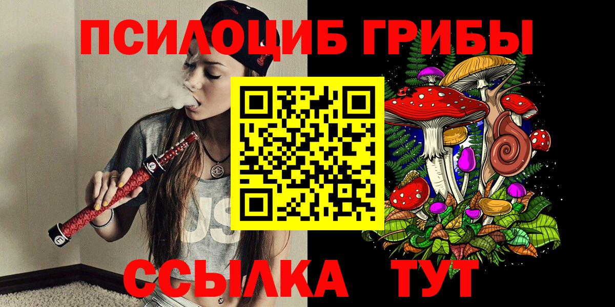 Алейск  Псилоцибиновые грибы мухоморы  Вход с VPN 